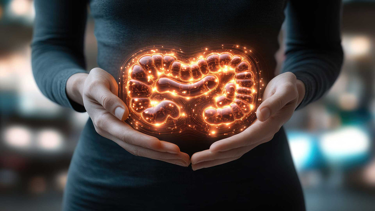 Person holding a glowing digital illustration of human intestines, symbolizing gut health, microbiome balance, and digestive wellness.
